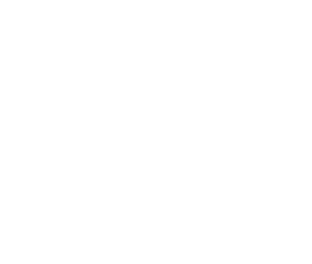 Betson Logo White